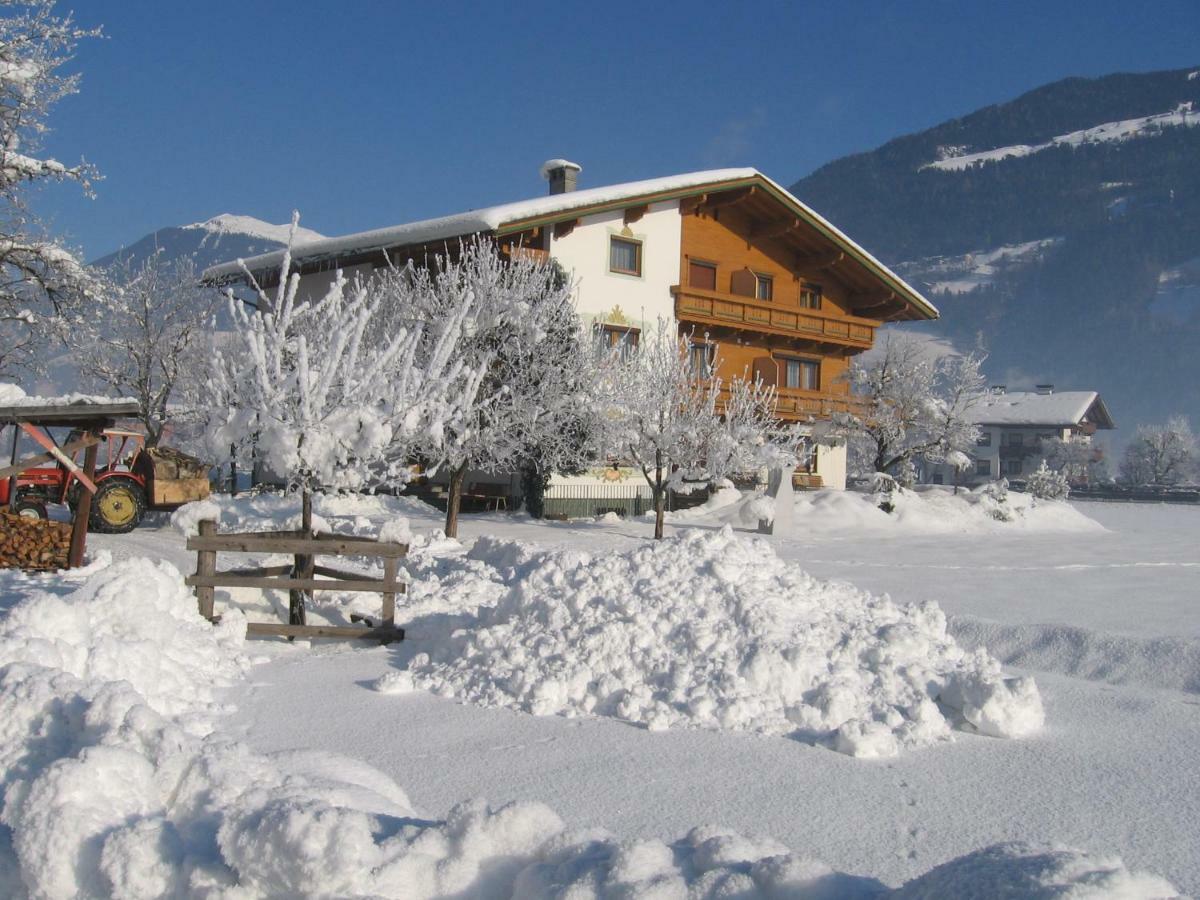 Lippnerhof Daire Aschau Im Zillertal Dış mekan fotoğraf